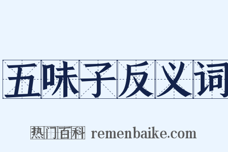 五味子反义词是什么意思的图片